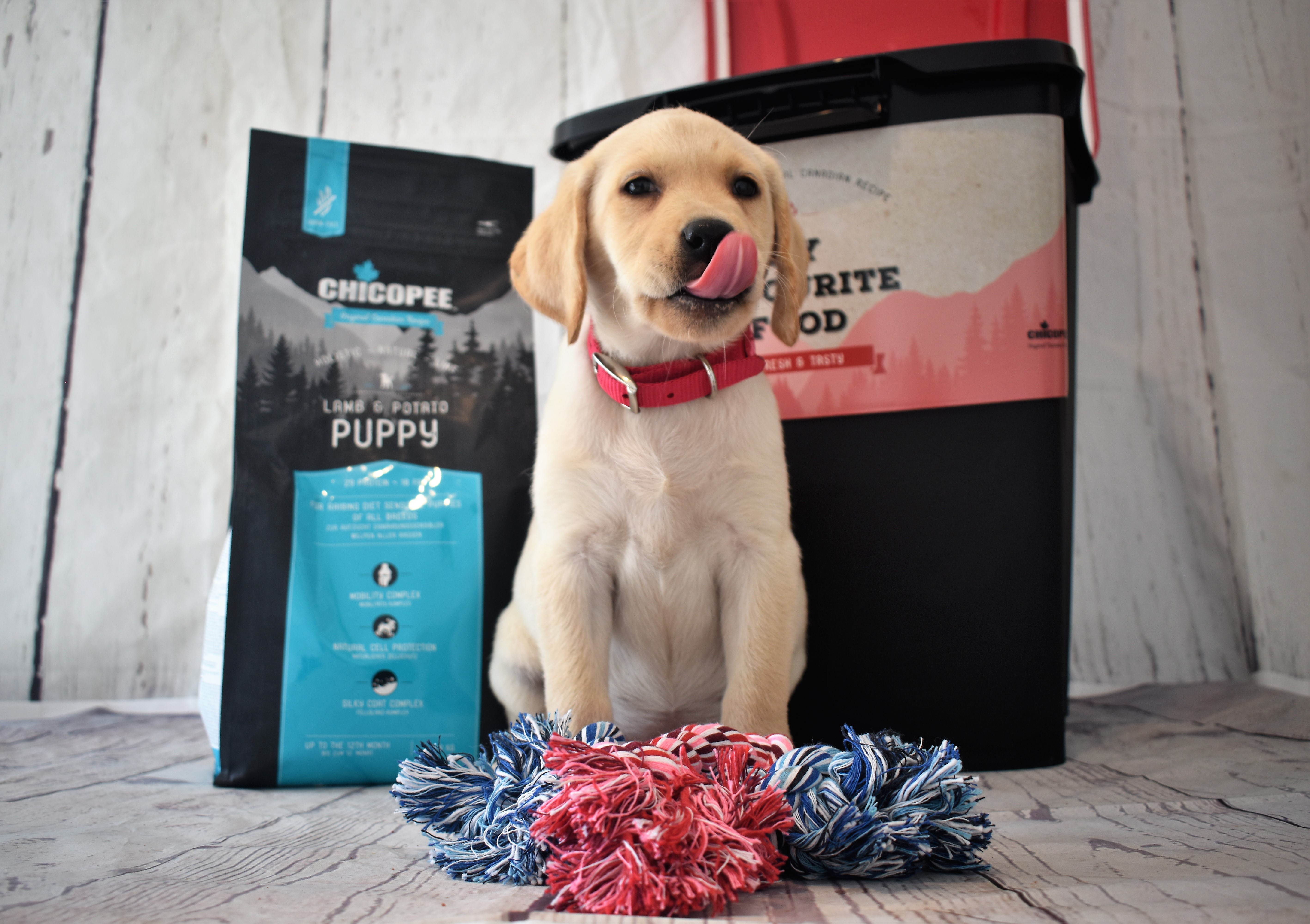 CHICOPEE Holistic Welpen-Premiumpaket mit Futtertonne