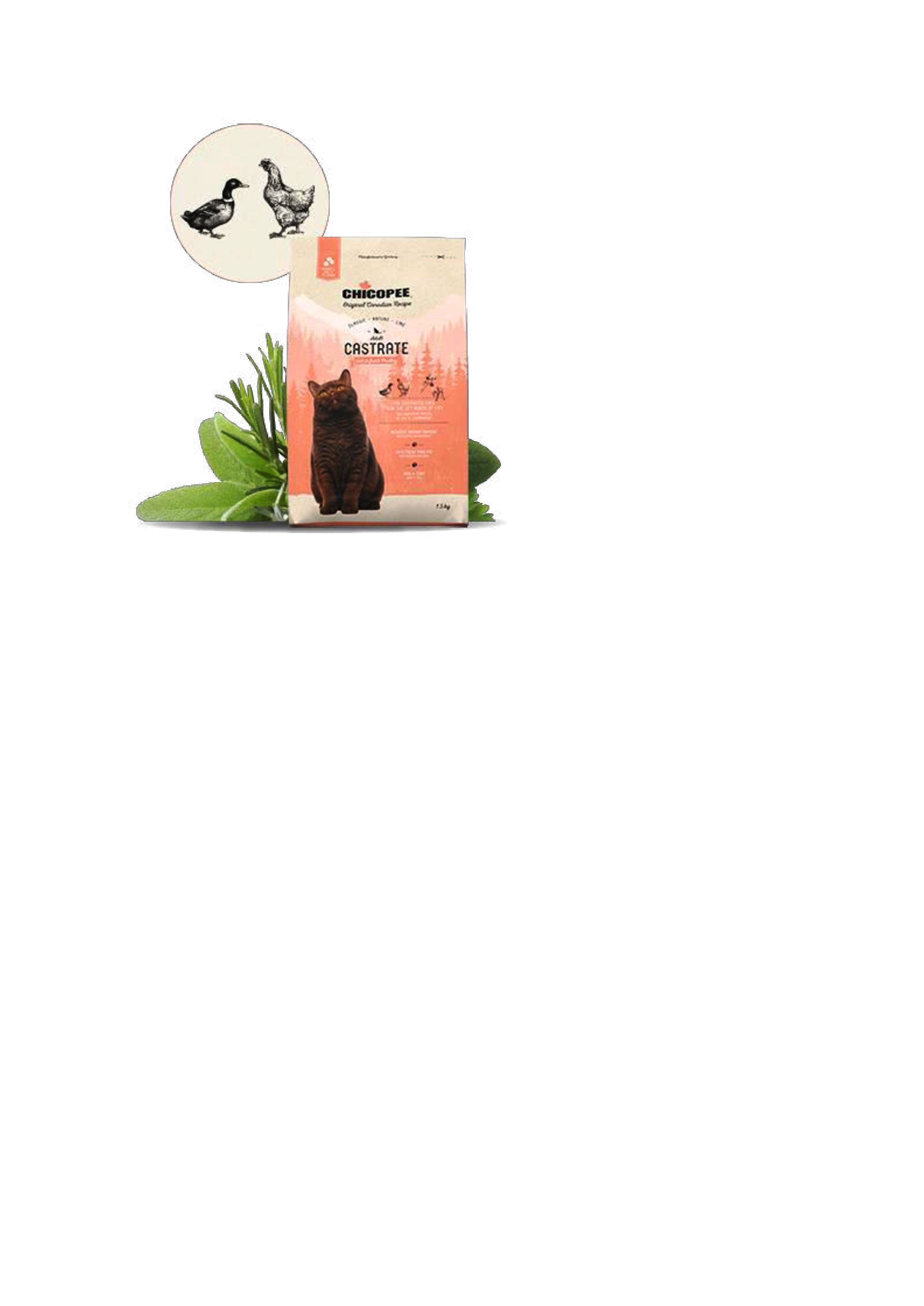 Chicopee Classic - Cat Castrate