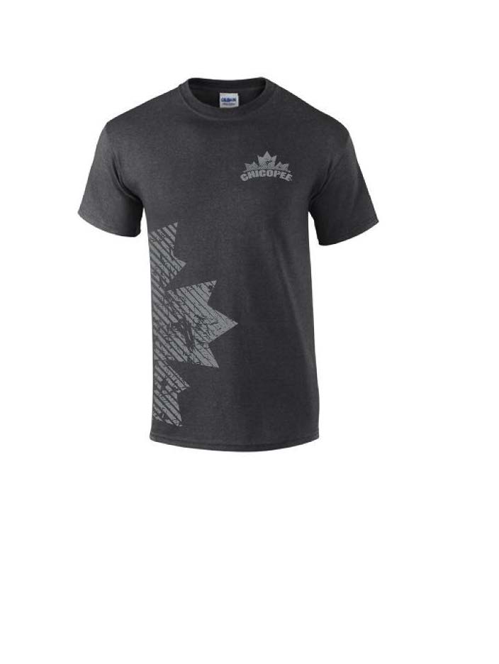 T-Shirt Chicopee, grau