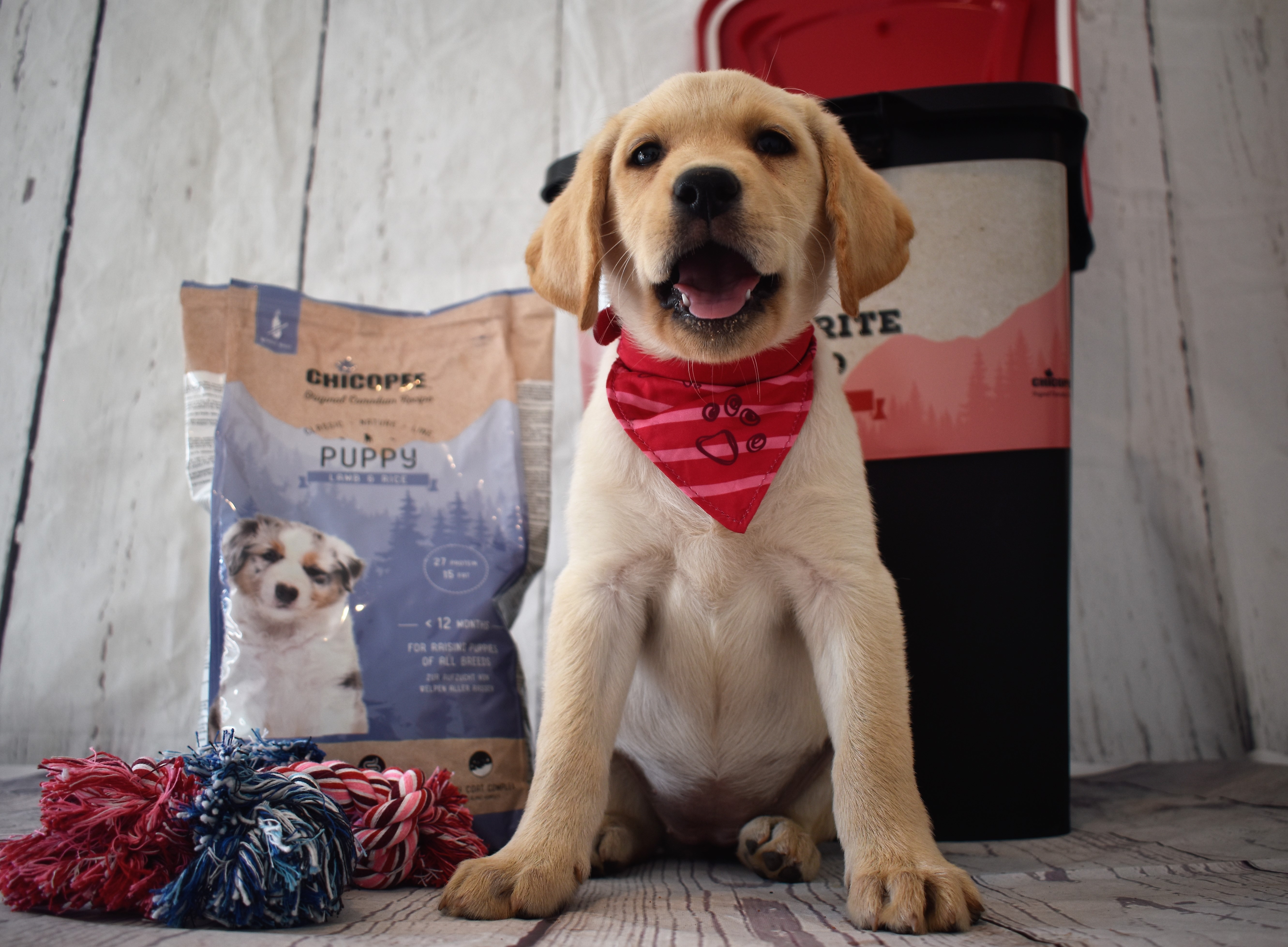 CHICOPEE Classic Welpen-Premiumpaket mit Futtertonne