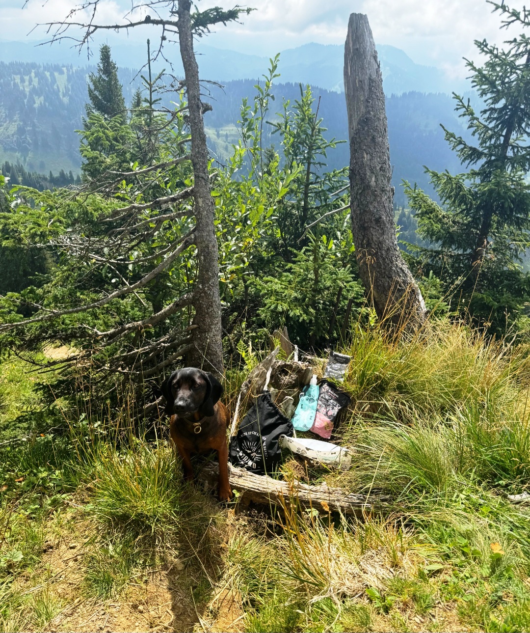 Wander Paket Hund